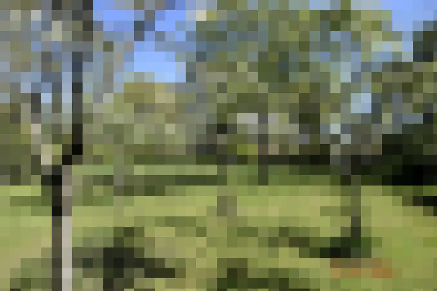 Boxbergerweg 18 Olst thumbnail 112