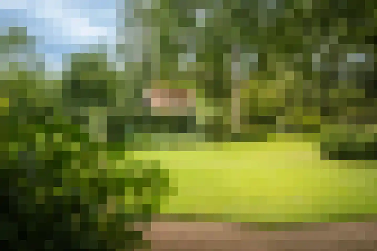 Boxbergerweg 18 Olst thumbnail 16