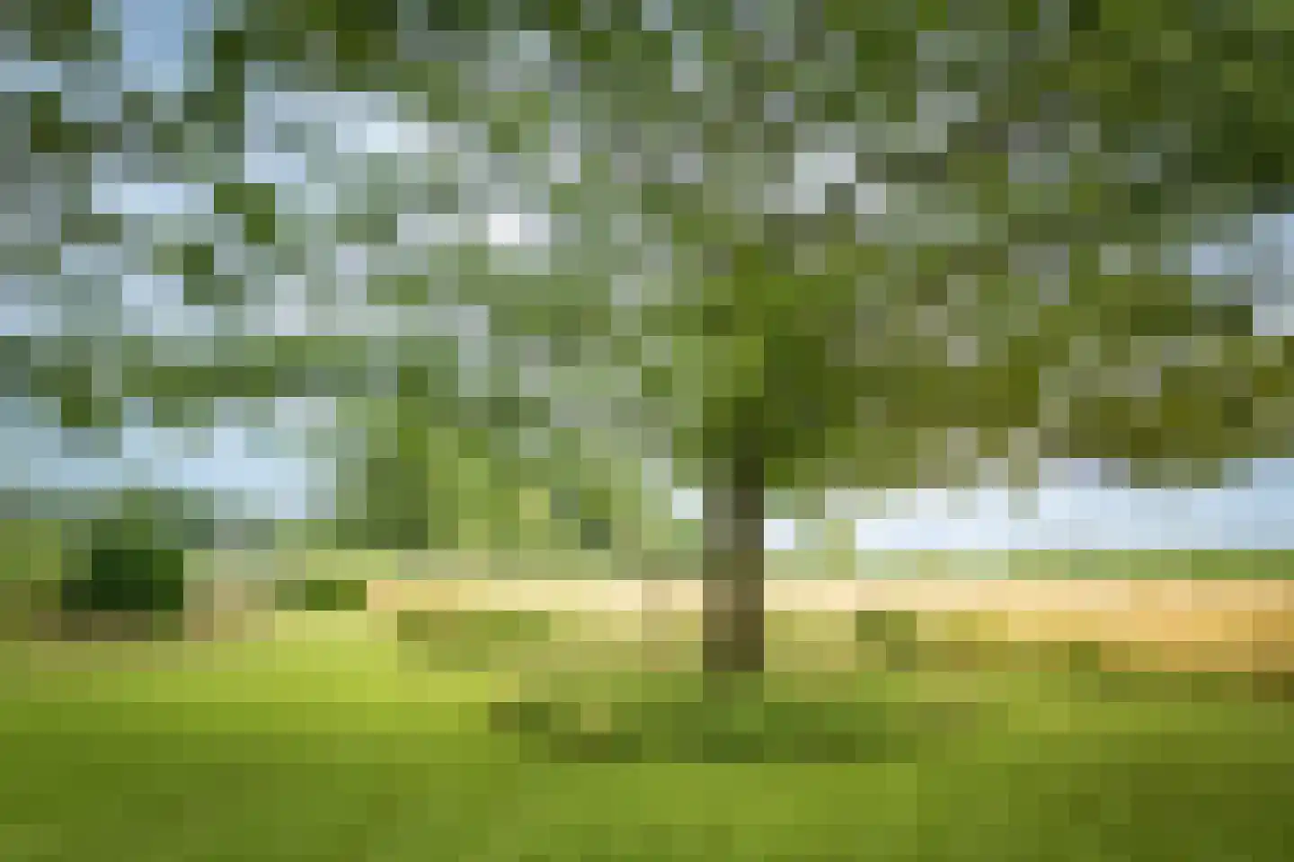Boxbergerweg 18 Olst thumbnail 33