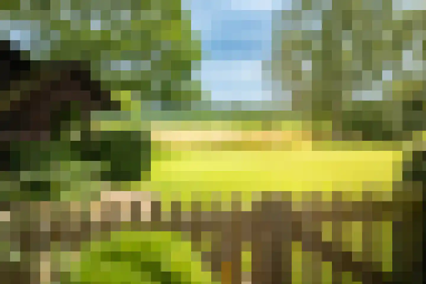 Boxbergerweg 18 Olst thumbnail 35