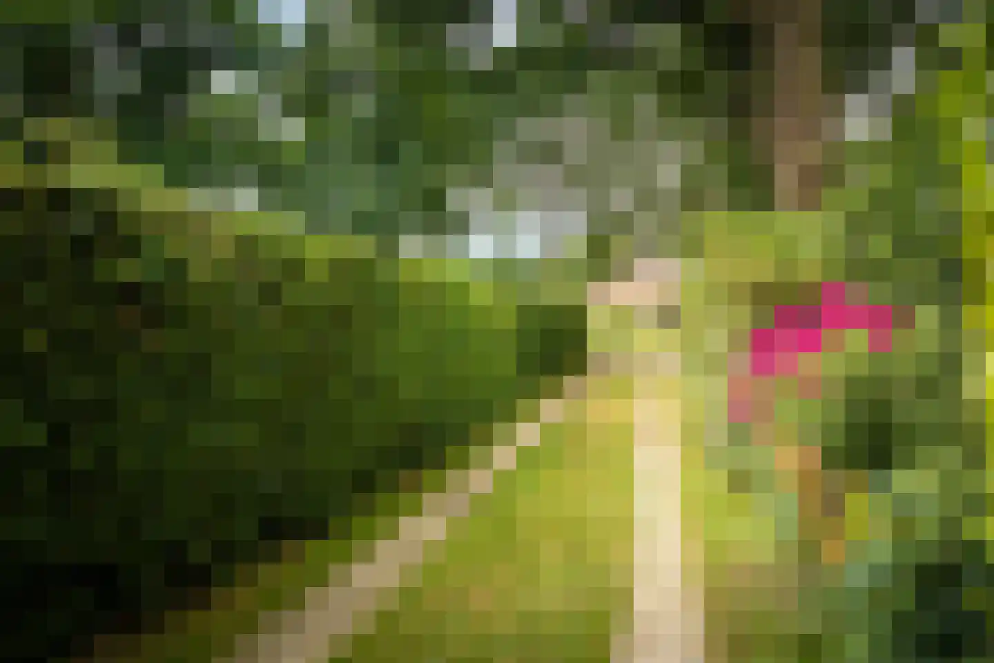Boxbergerweg 18 Olst thumbnail 36