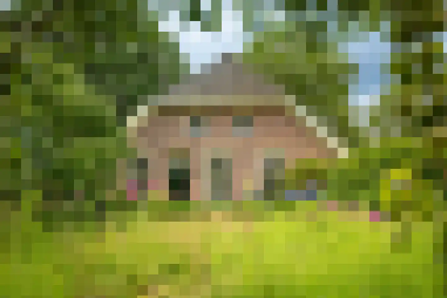 Boxbergerweg 18 Olst thumbnail 4