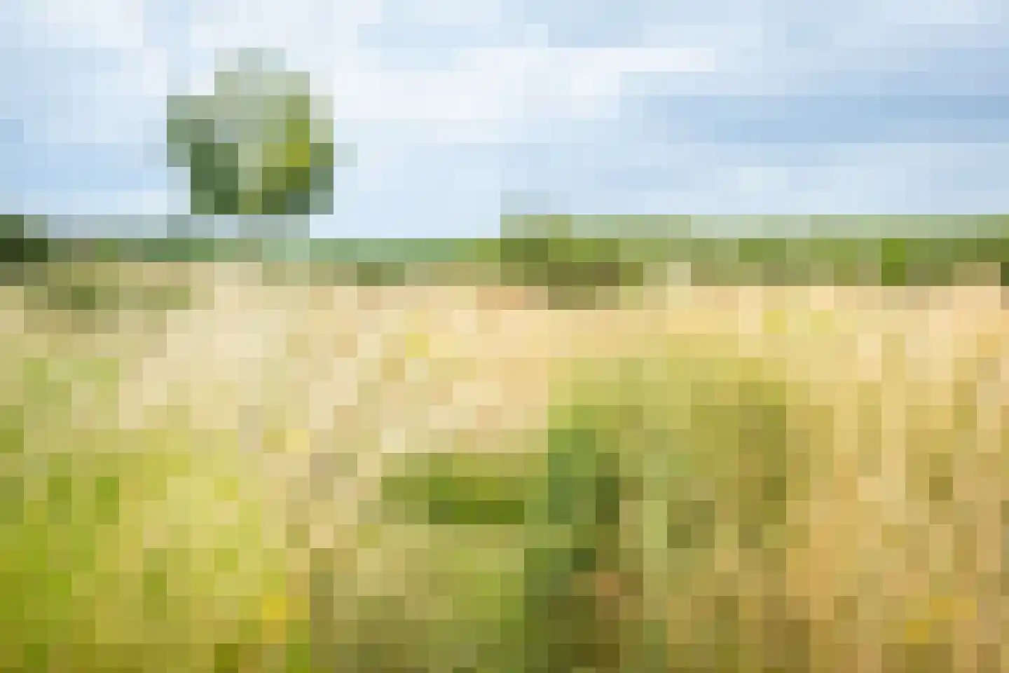 Boxbergerweg 18 Olst thumbnail 40