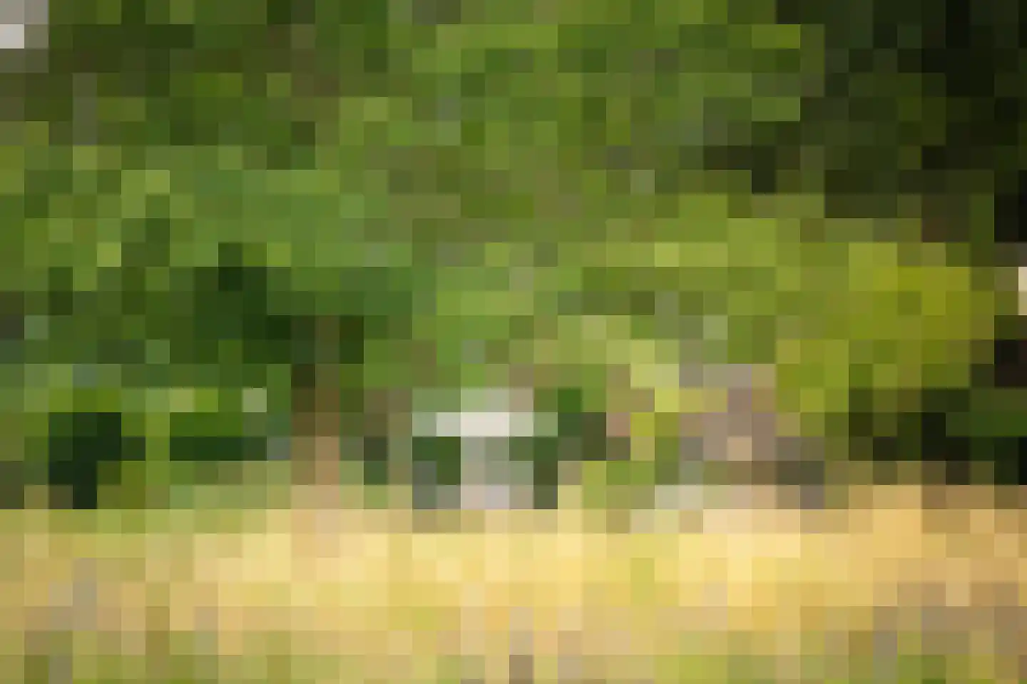 Boxbergerweg 18 Olst thumbnail 41