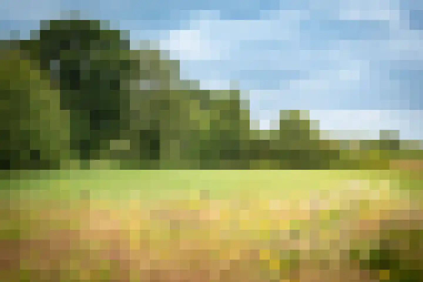 Boxbergerweg 18 Olst thumbnail 42