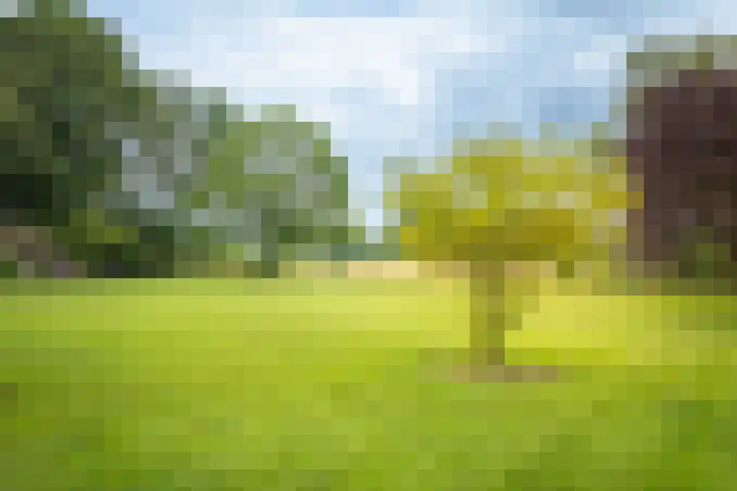 Boxbergerweg 18 Olst thumbnail 43