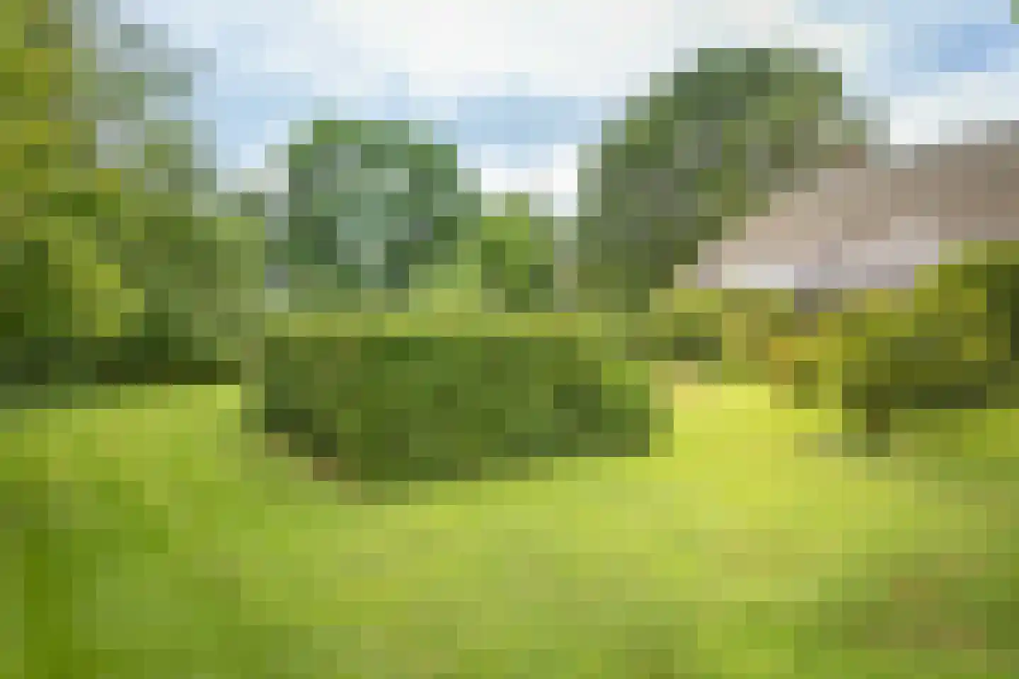 Boxbergerweg 18 Olst thumbnail 44