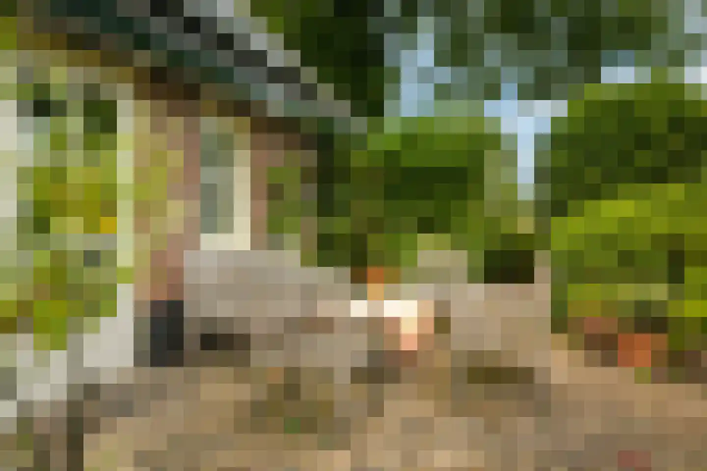 Boxbergerweg 18 Olst thumbnail 46