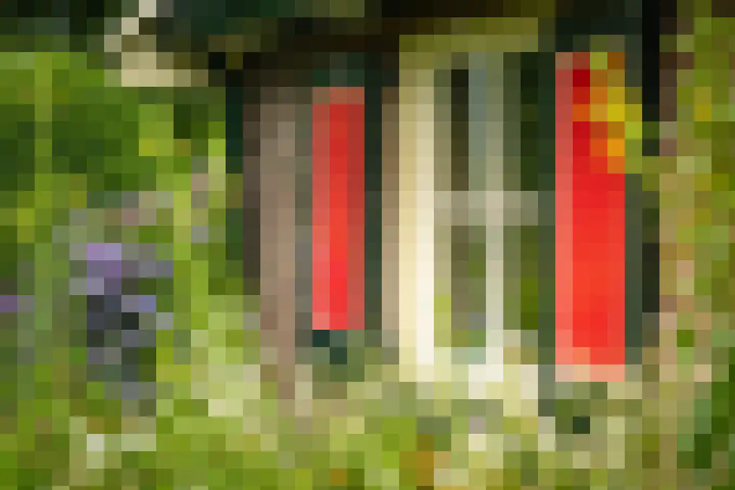 Boxbergerweg 18 Olst thumbnail 47