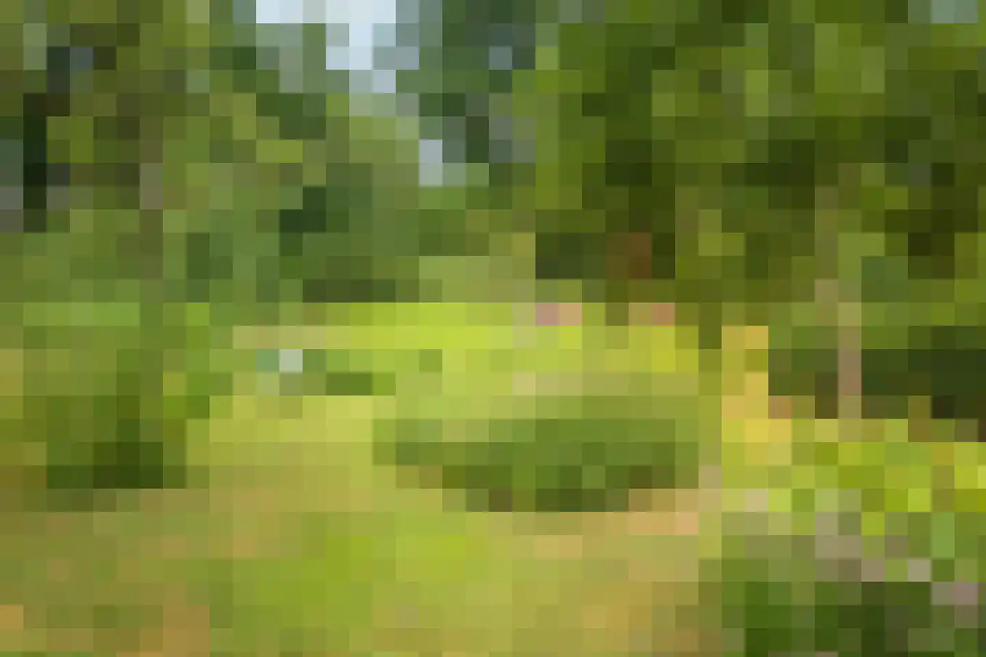 Boxbergerweg 18 Olst thumbnail 48