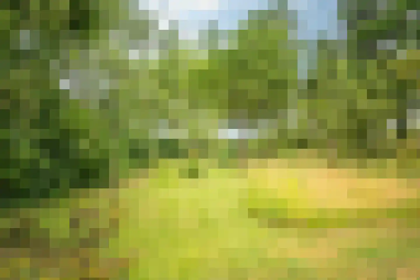 Boxbergerweg 18 Olst thumbnail 49