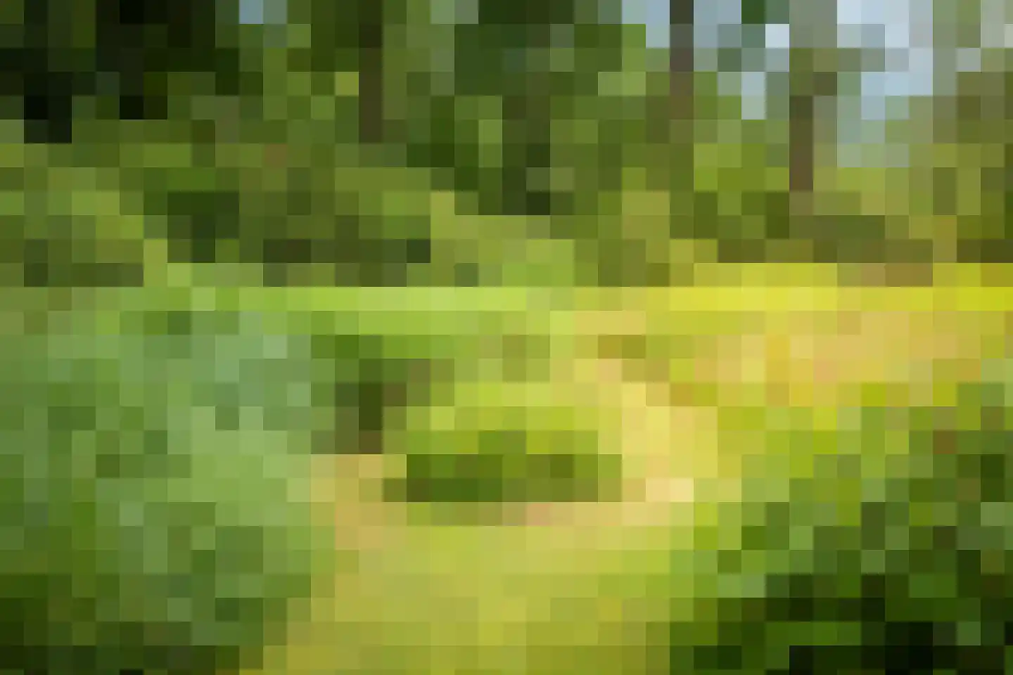 Boxbergerweg 18 Olst thumbnail 51