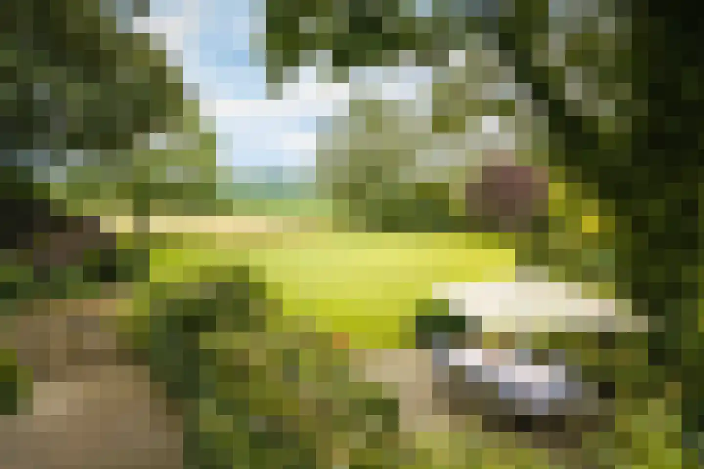 Boxbergerweg 18 Olst thumbnail 8