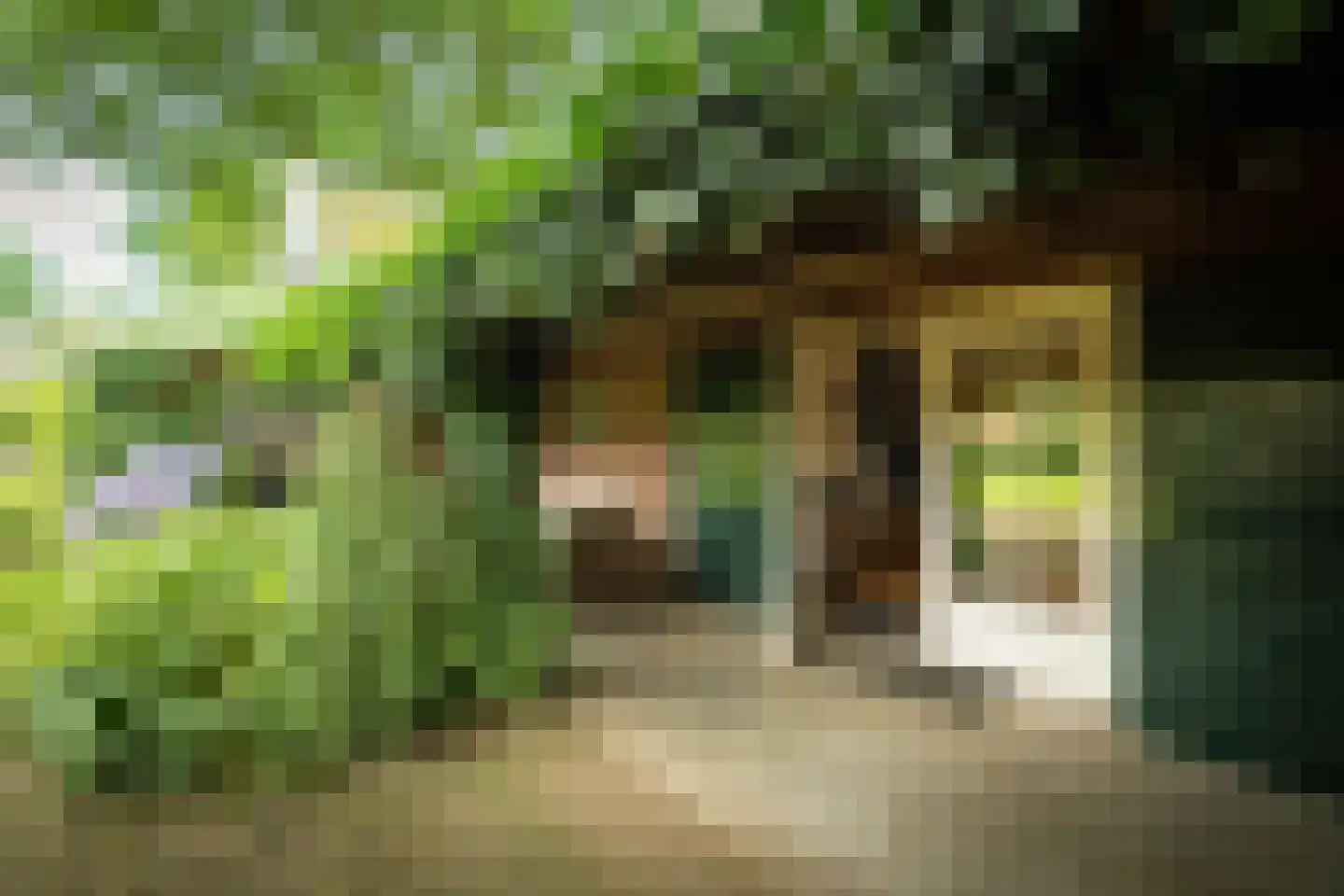 Boxbergerweg 18 Olst thumbnail 94