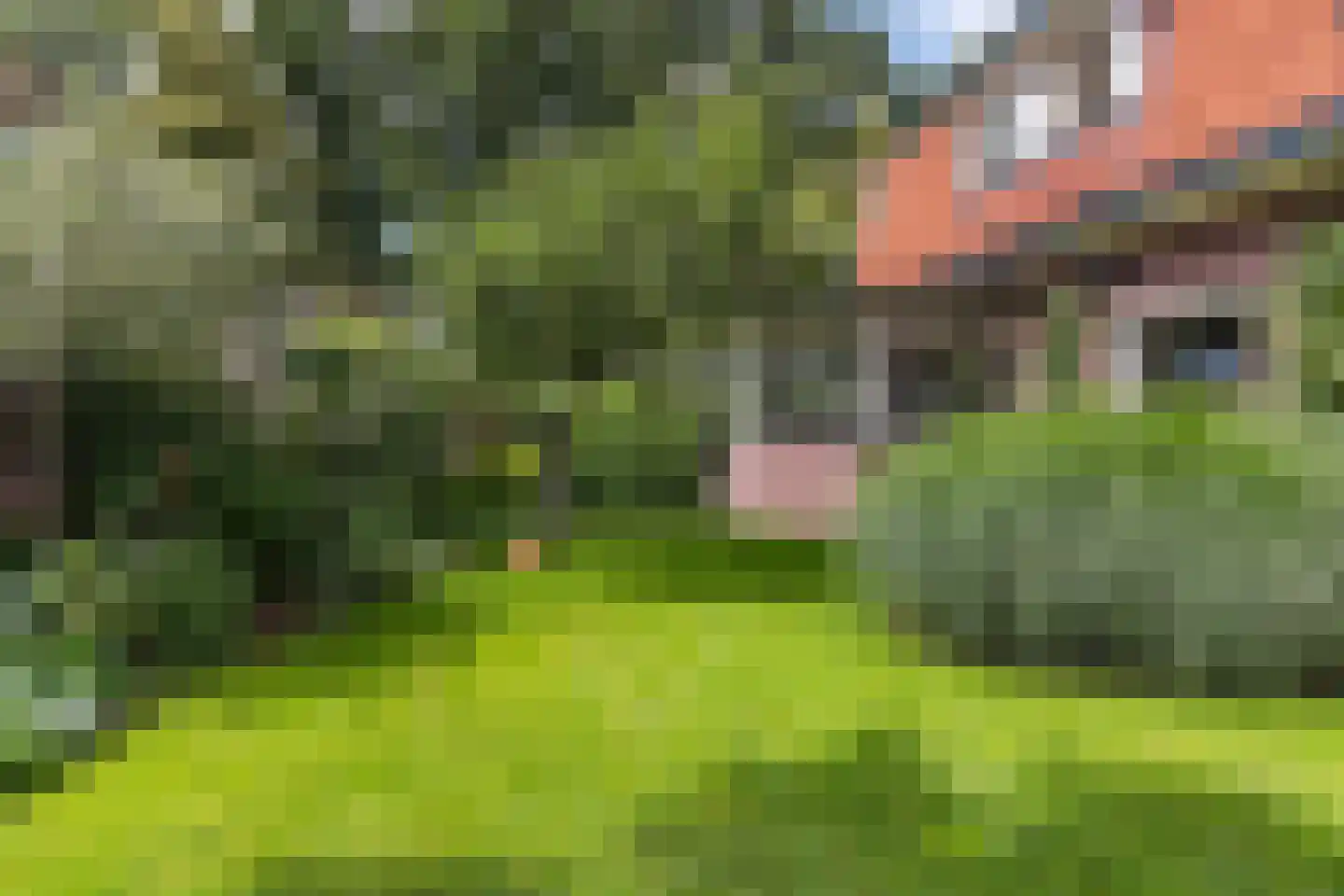 Boxbergerweg 22 Diepenveen thumbnail 63