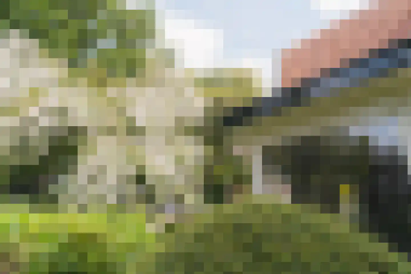 Boxbergerweg 22 Diepenveen thumbnail 64