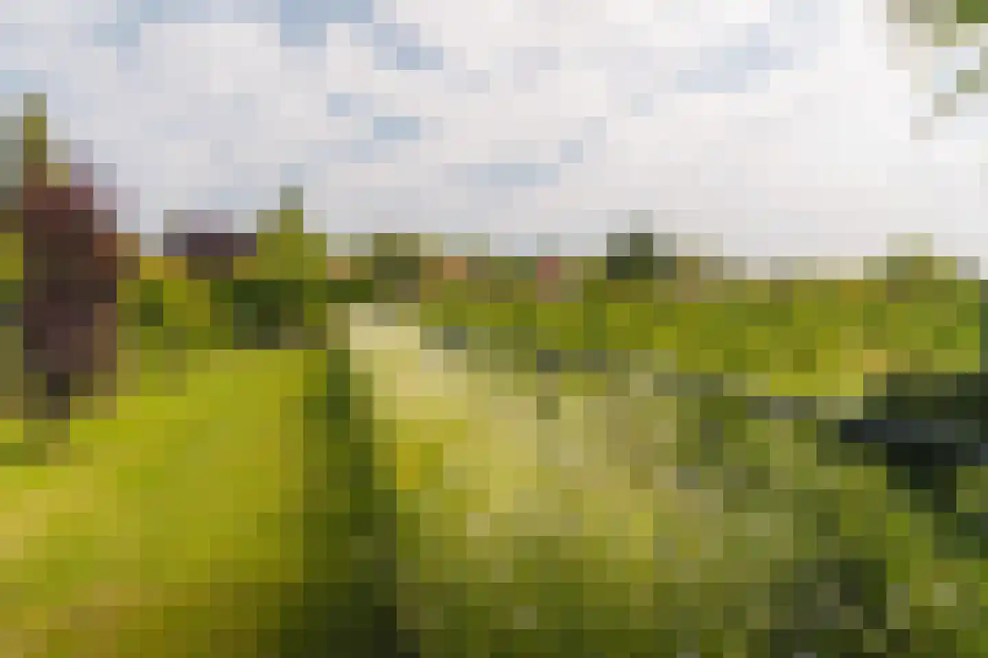 Boxbergerweg 22 Diepenveen thumbnail 67