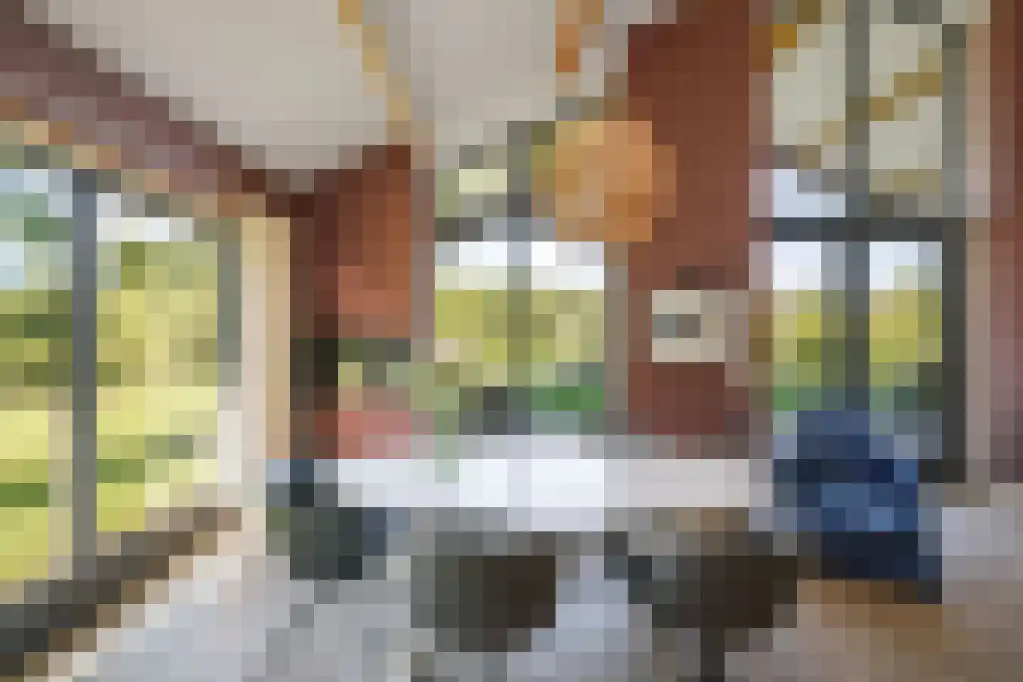 Boxbergerweg 23 c Olst thumbnail 4