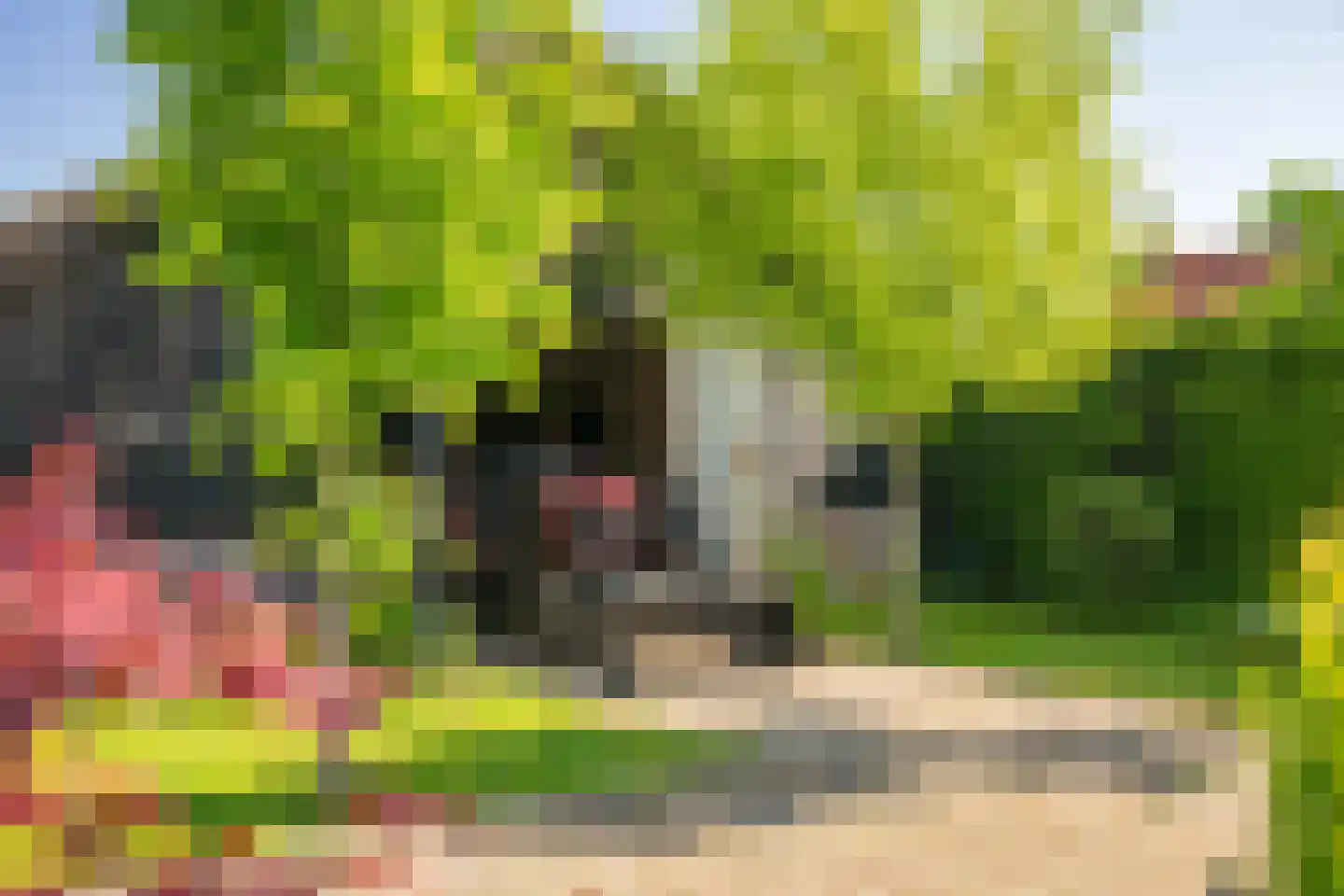 Boxbergerweg 23 c Olst thumbnail 41
