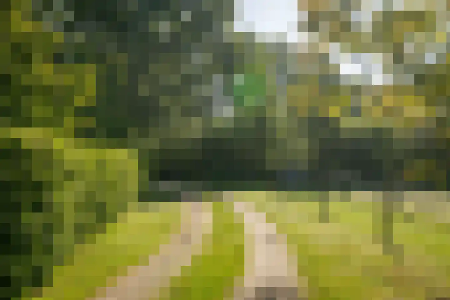 Boxbergerweg 23 c Olst thumbnail 44