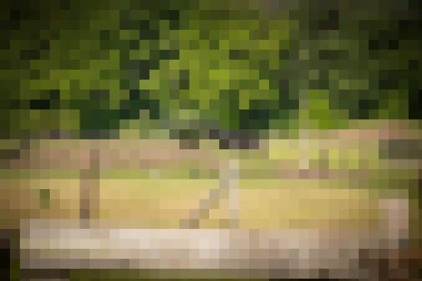 Boxbergerweg 23 c Olst thumbnail 50