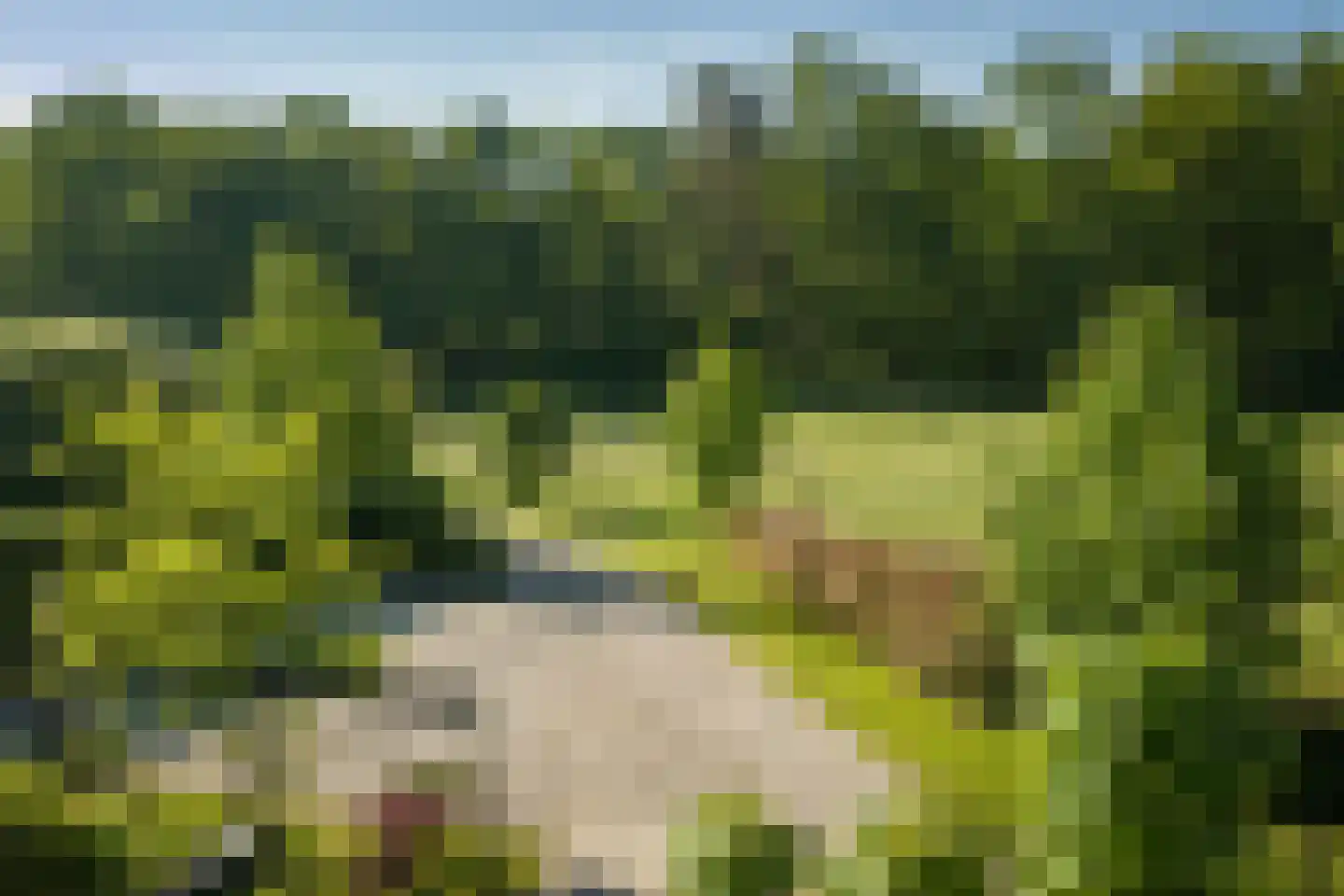 Boxbergerweg 23 c Olst thumbnail 53