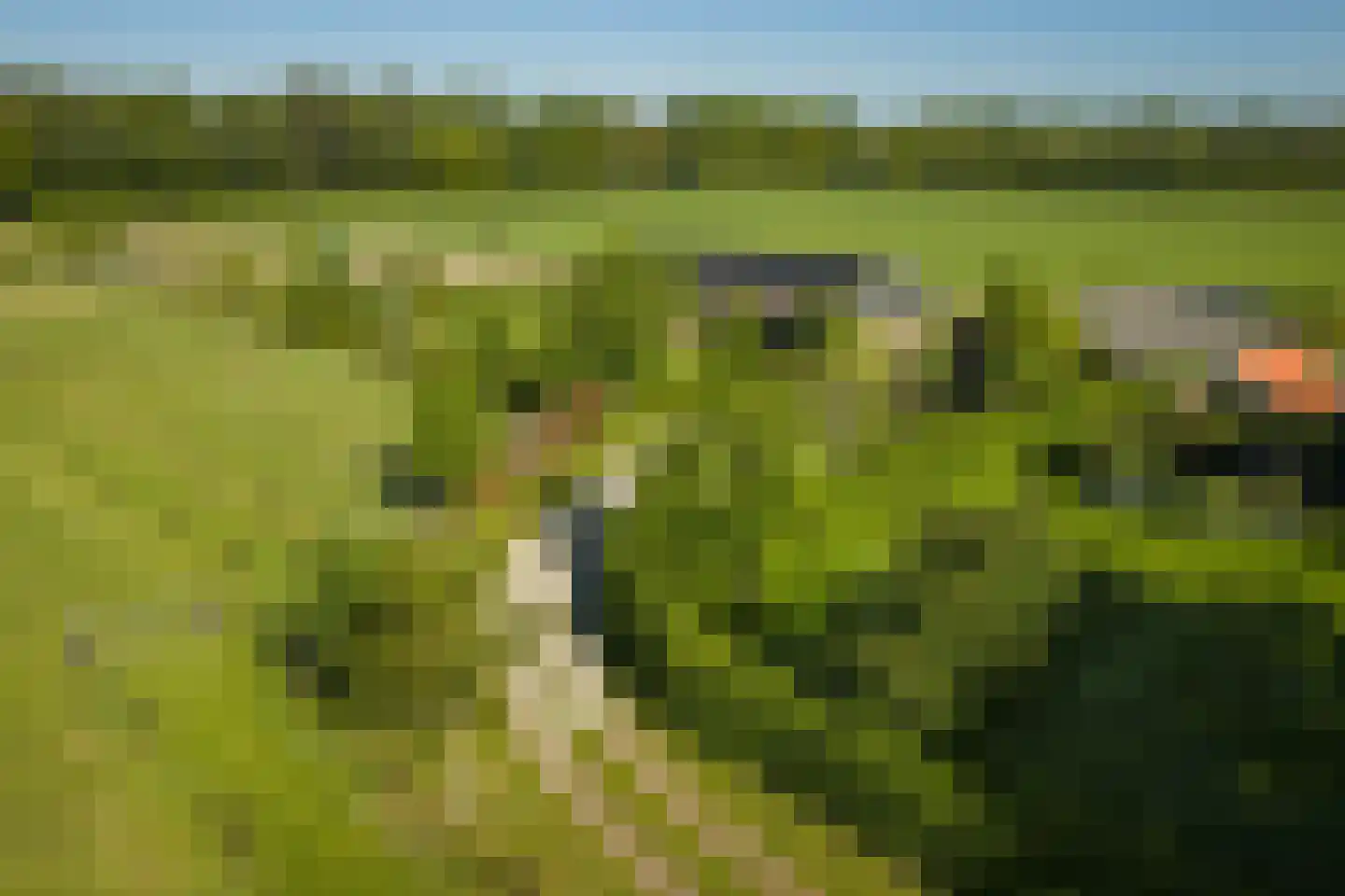 Boxbergerweg 23 c Olst thumbnail 62