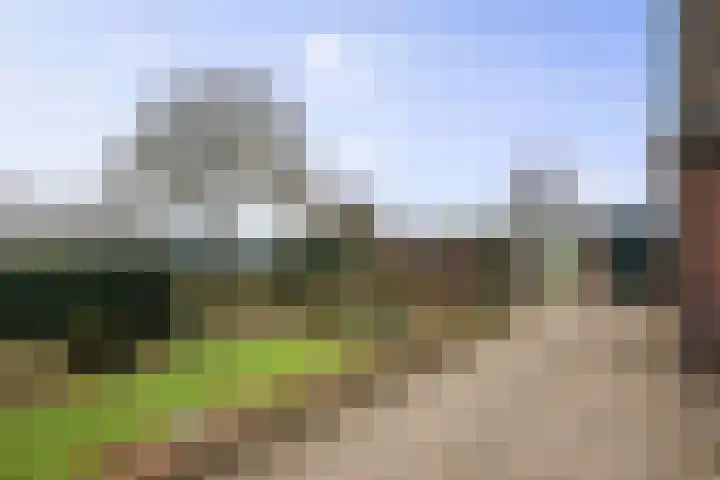 Boxbergerweg 5 Olst thumbnail 25