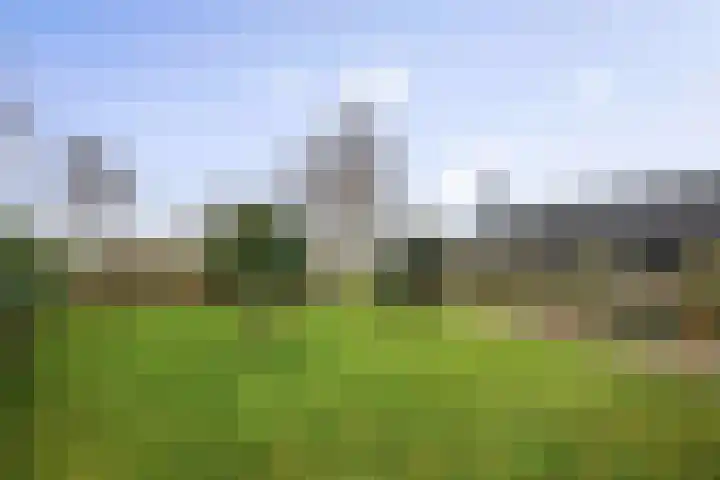 Boxbergerweg 5 Olst thumbnail 27