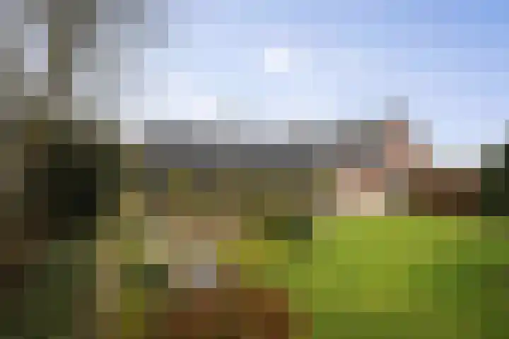 Boxbergerweg 5 Olst thumbnail 28