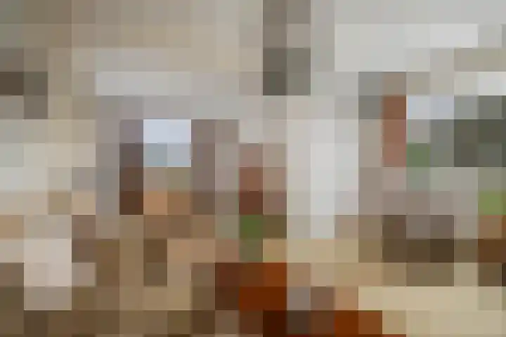 Boxbergerweg 5 Olst thumbnail 4