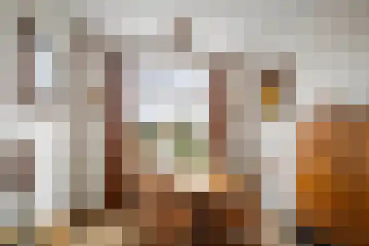 Boxbergerweg 5 Olst thumbnail 7