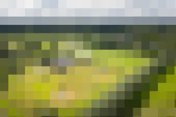 Boxbergerweg 71 a Wesepe thumbnail 60