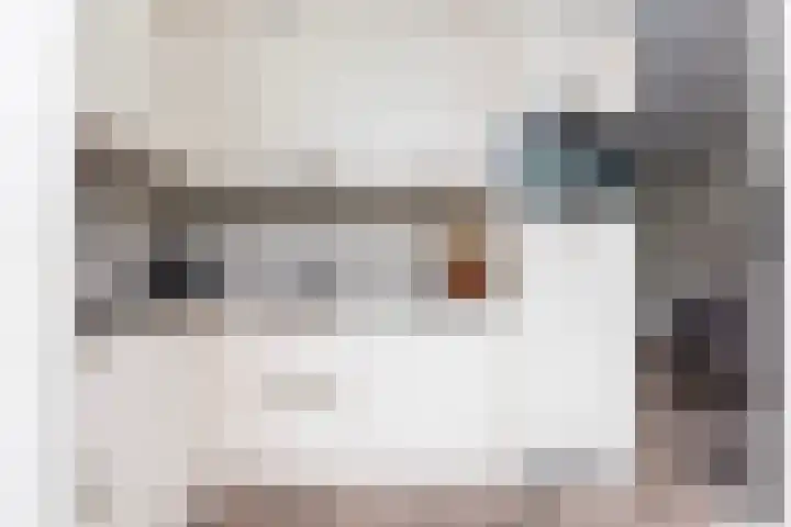 Boxhofstede 70 Vaassen thumbnail 10