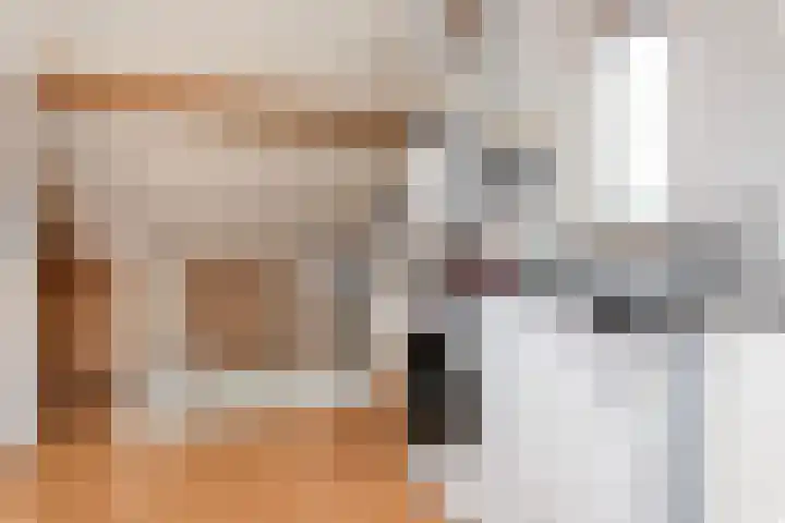 Boxhofstede 70 Vaassen thumbnail 20