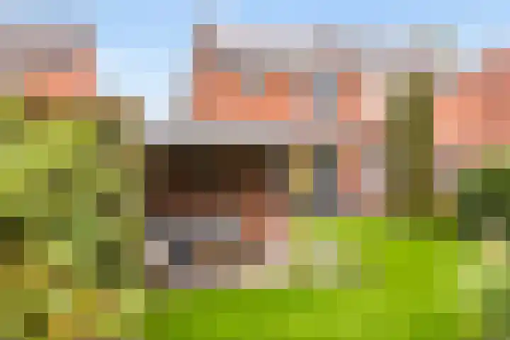 Boxhofstede 70 Vaassen thumbnail 25