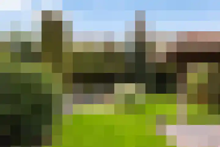 Boxhofstede 70 Vaassen thumbnail 26