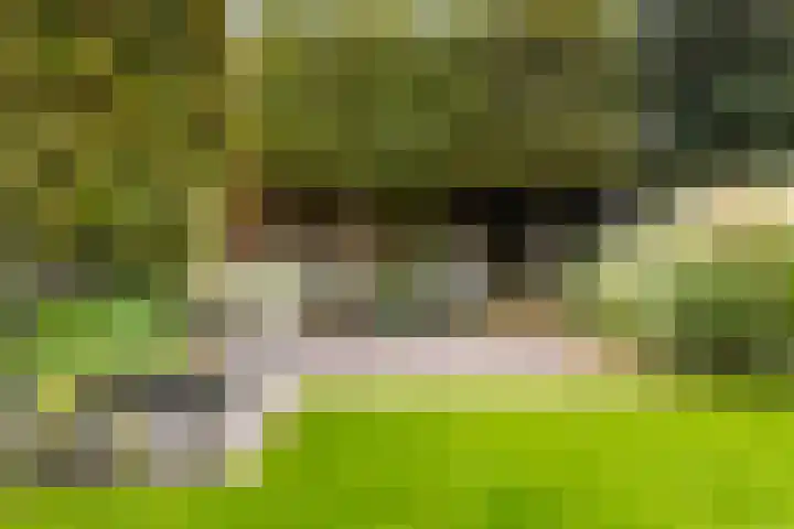 Boxhofstede 70 Vaassen thumbnail 27