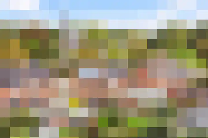 Boxhofstede 70 Vaassen thumbnail 29