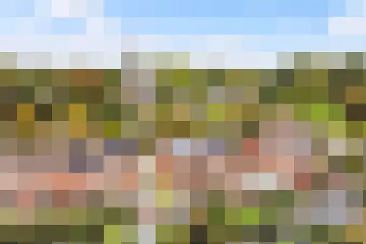 Boxhofstede 70 Vaassen thumbnail 4