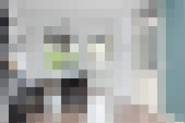 Boxhofstede 70 Vaassen thumbnail 8