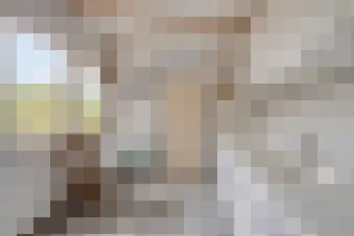 Boxhornpad 3 Eindhoven thumbnail 11