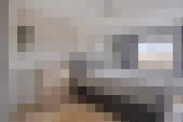 Boxhornpad 3 Eindhoven thumbnail 19