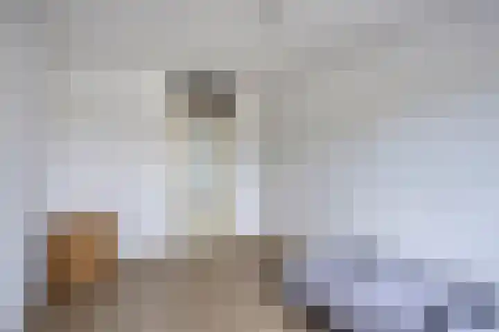 Boxhornpad 3 Eindhoven thumbnail 23