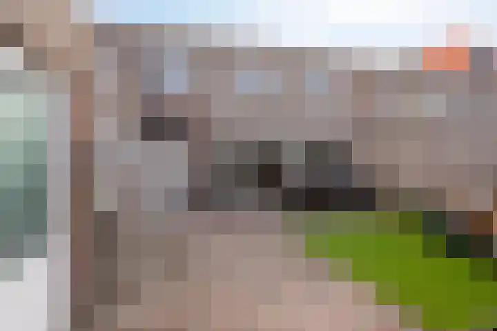 Boxhornpad 3 Eindhoven thumbnail 25