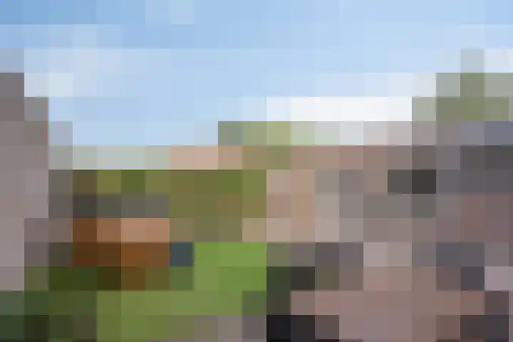 Boxhornpad 3 Eindhoven thumbnail 26