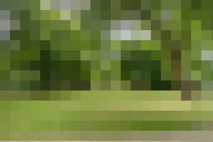 Boxhornpad 3 Eindhoven thumbnail 28