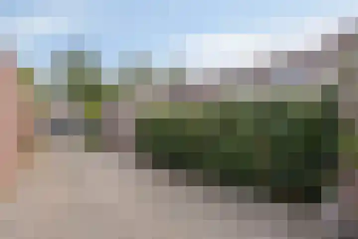 Boxhornpad 3 Eindhoven thumbnail 29