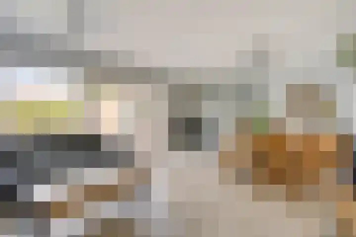 Boxhornpad 3 Eindhoven thumbnail 7