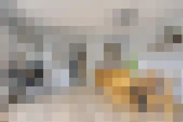 Boxhornpad 3 Eindhoven thumbnail 8
